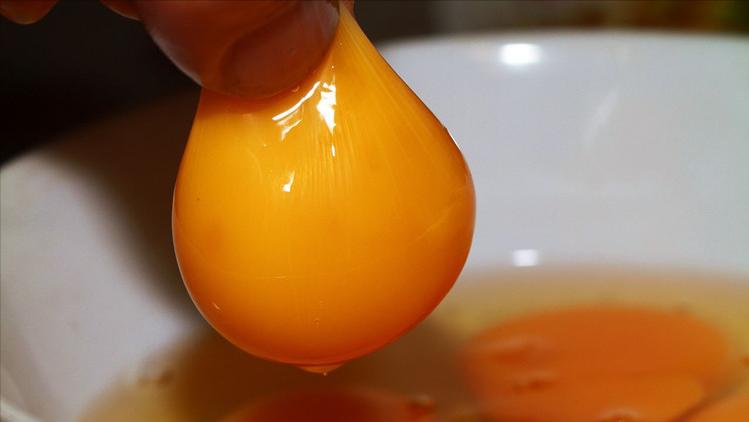 每天吃20个鸡蛋心梗,浙大教授研究癌症