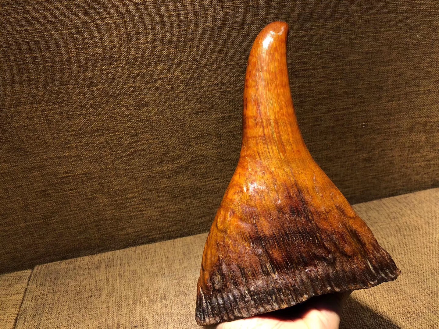 喝什么酒用犀角杯,犀角杯配白酒