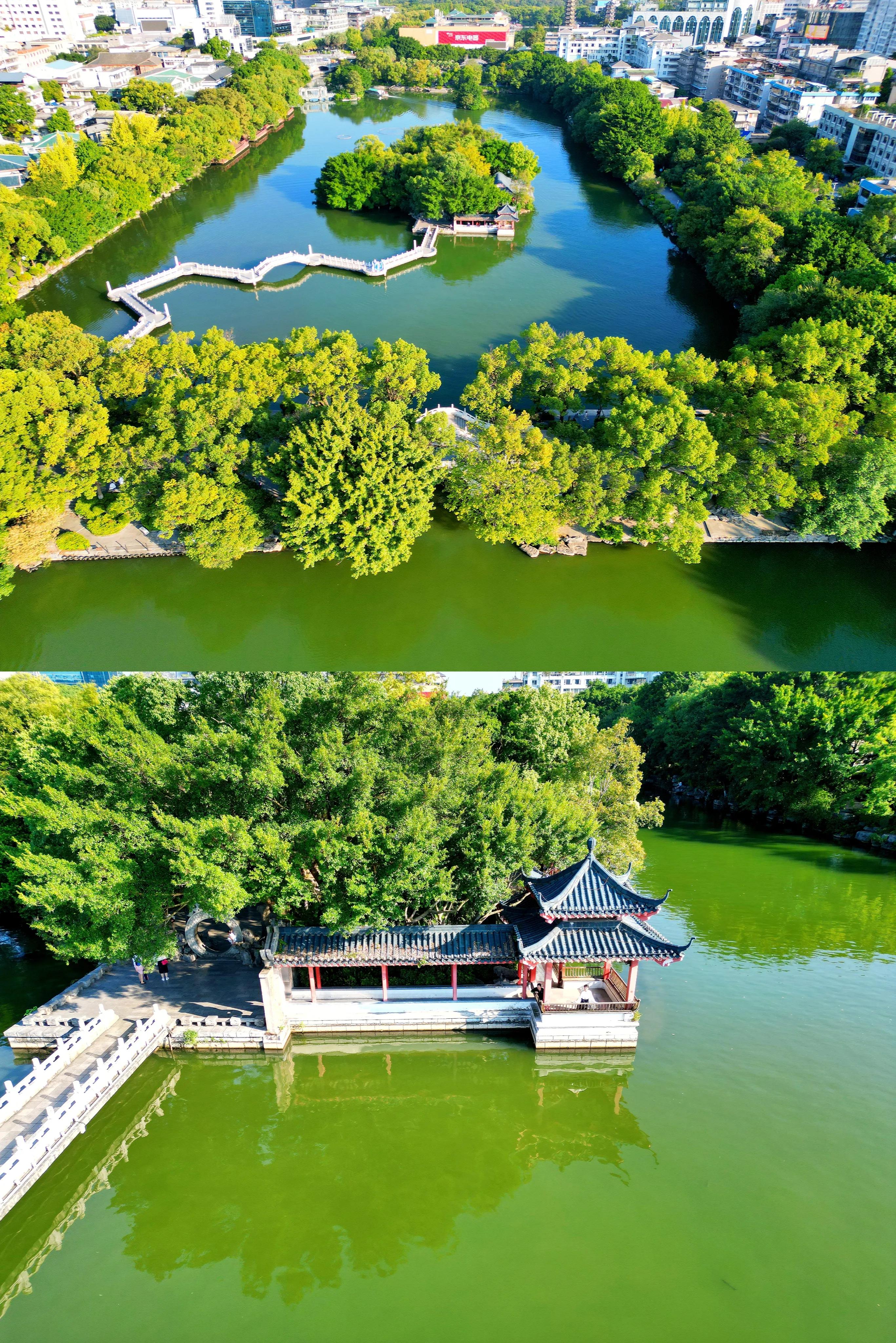 桂林榕湖之旅,春天桂林榕湖旅游攻略