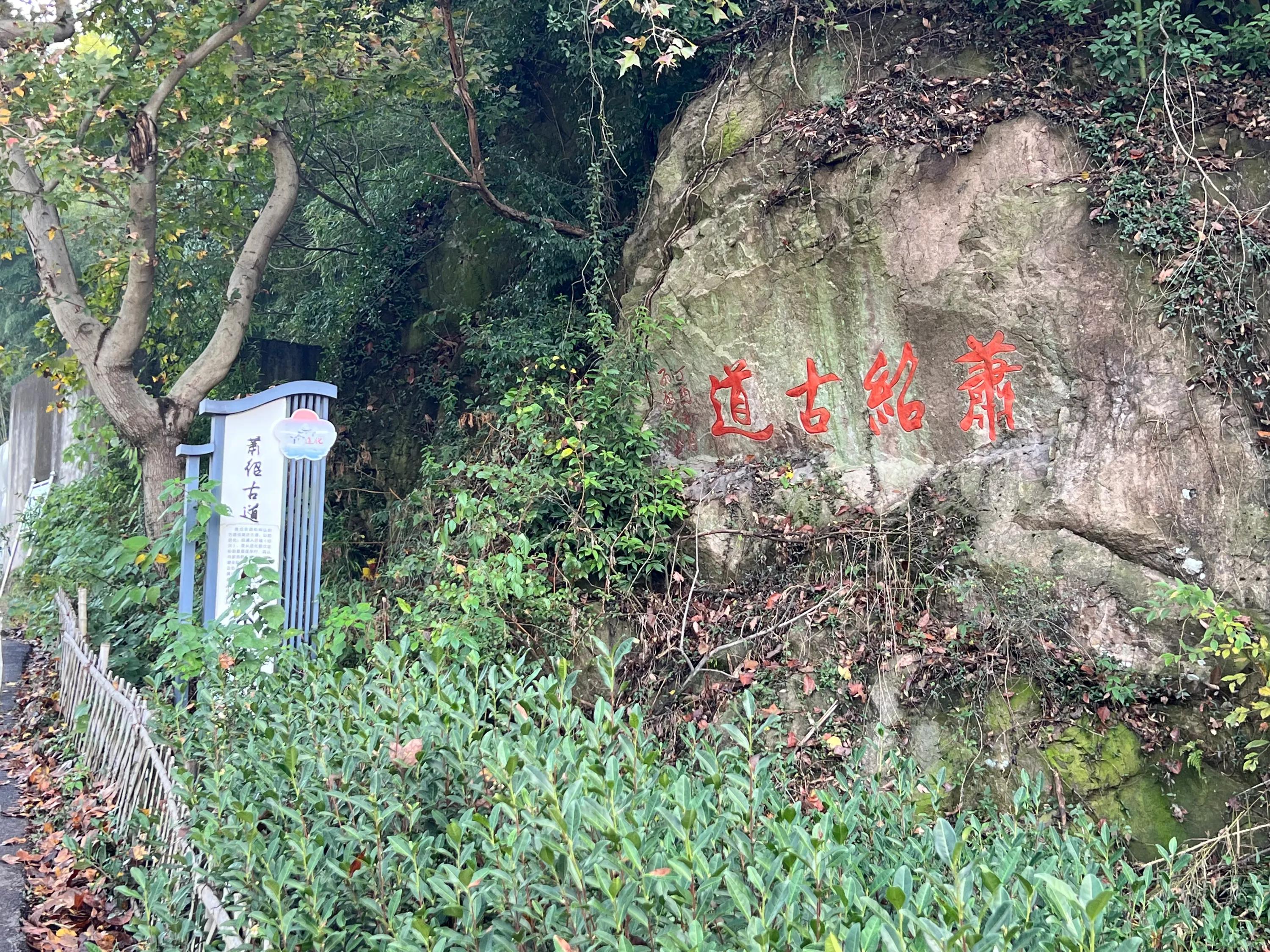 陀乾秋简介,陀乾秋