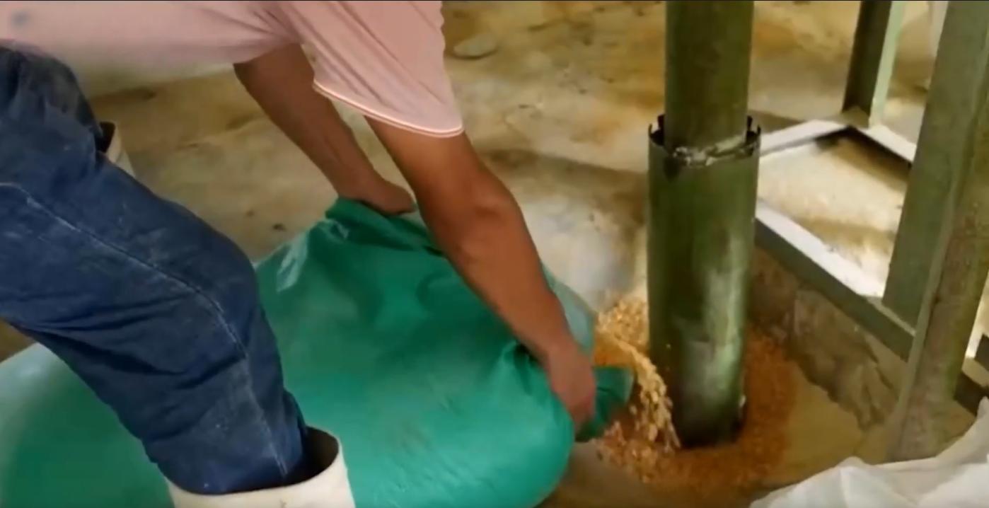 80后小伙回乡养猪发大财,80后小伙创业养猪