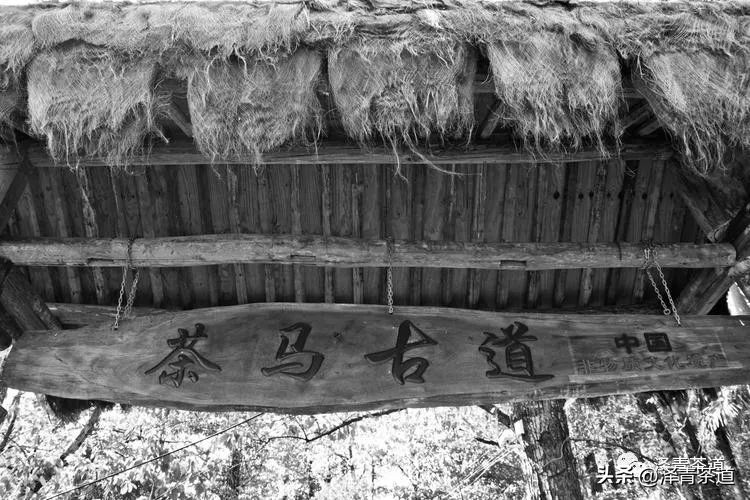 茶马古道茶叶铁盒价格,茶叶溯源之旅
