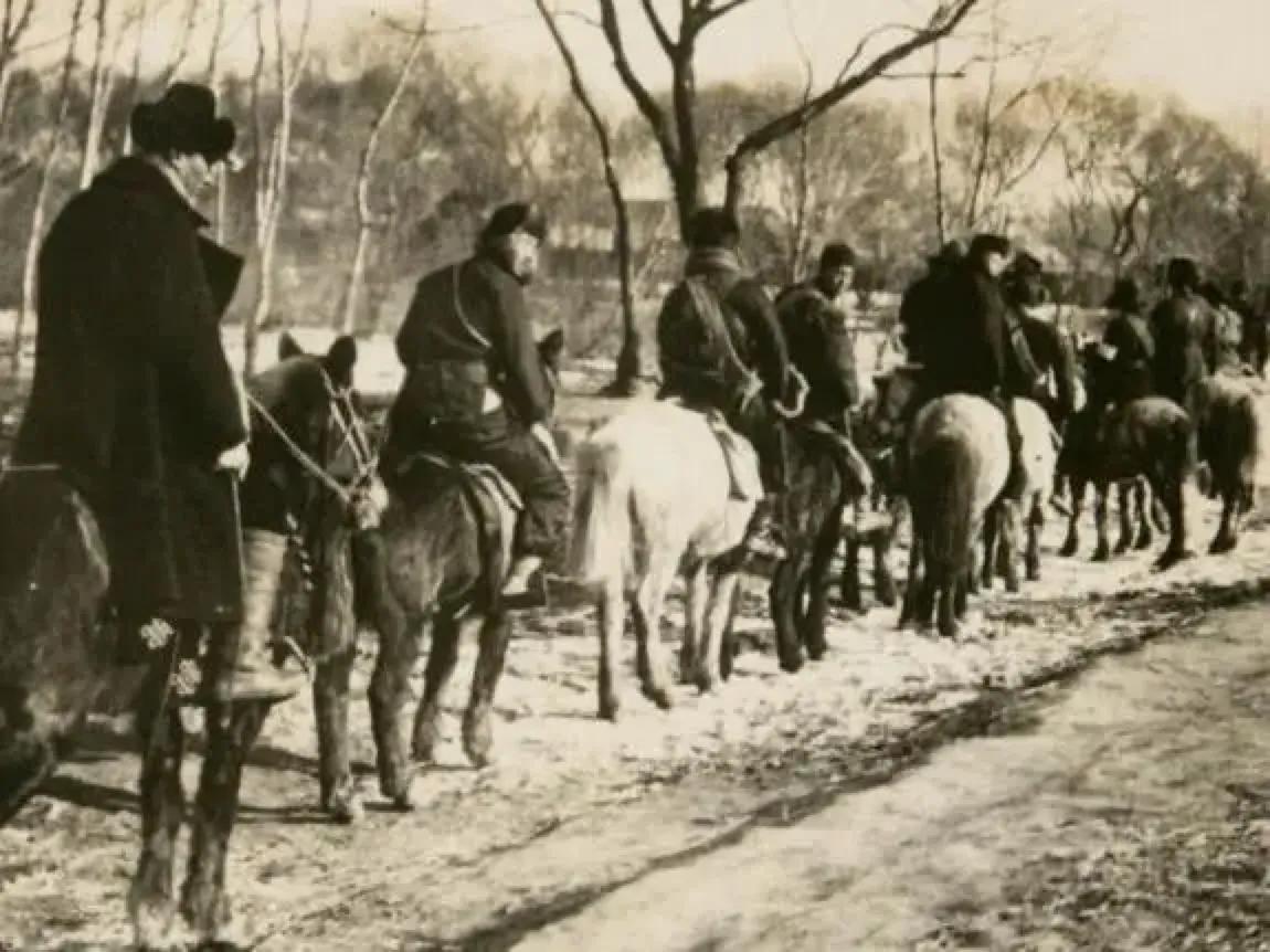 东北往事重庆森林,东北往事深林诡事