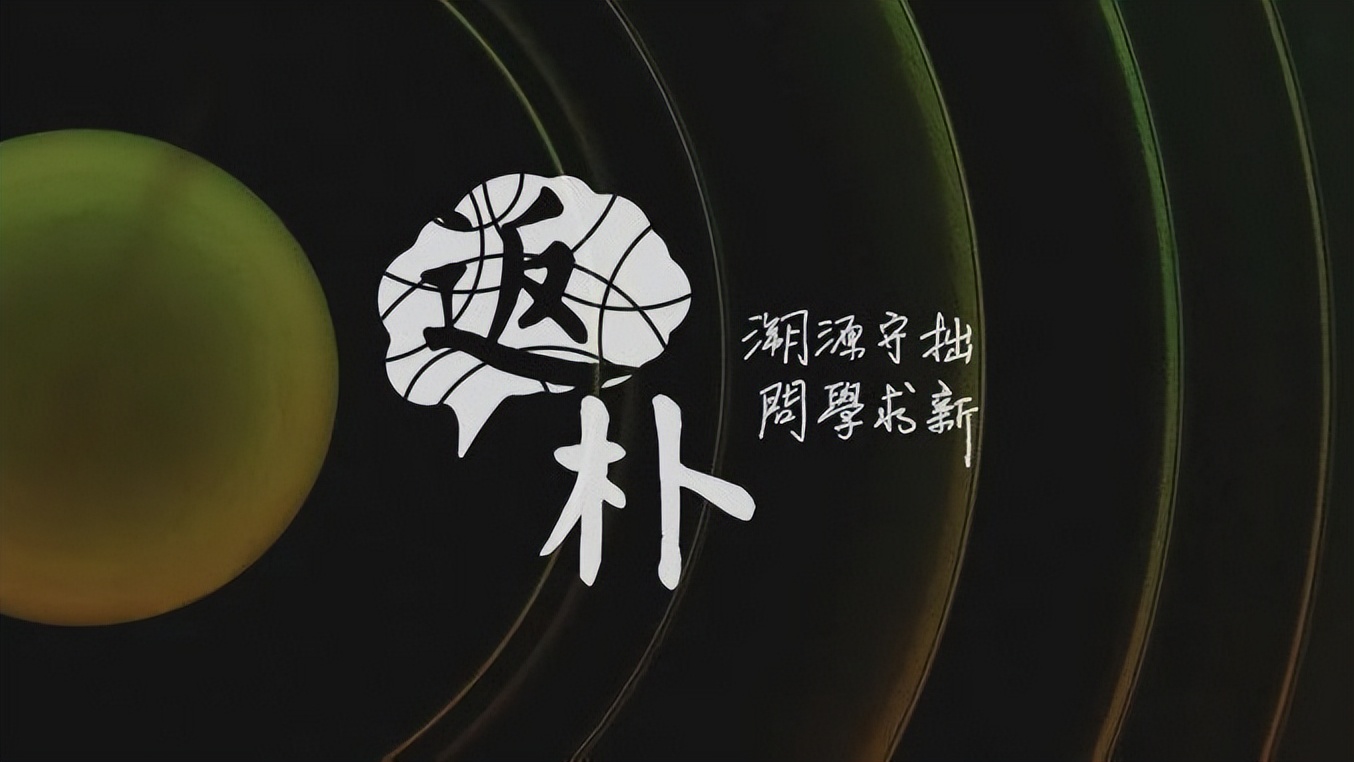 原子核内部结构的发现,原子核奇特结构