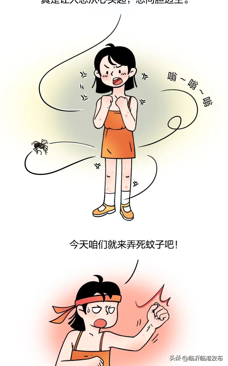 蚊子太毒怎么处理,彻底绝杀蚊子的妙招