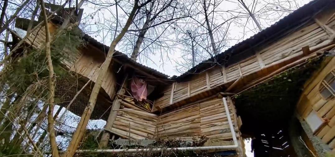 90后小伙回农场投资百万种果园,70后大叔创造奇迹种地赚100万