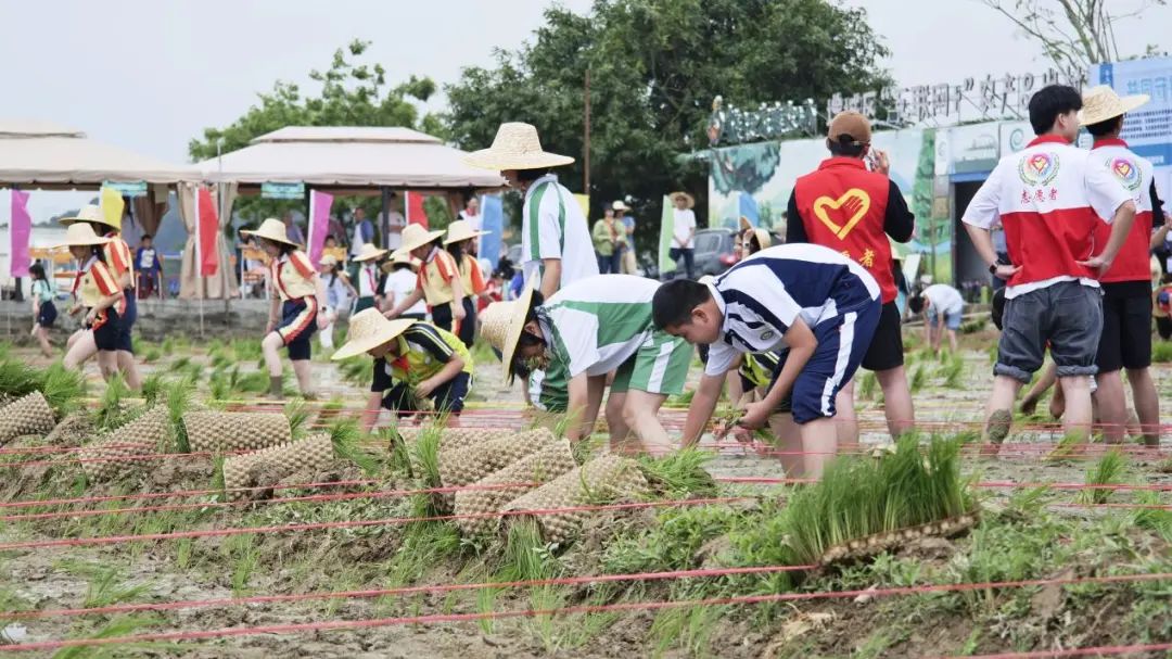 增城|莫丽贤：辞去都市白领职业，返乡创业当“新农人”