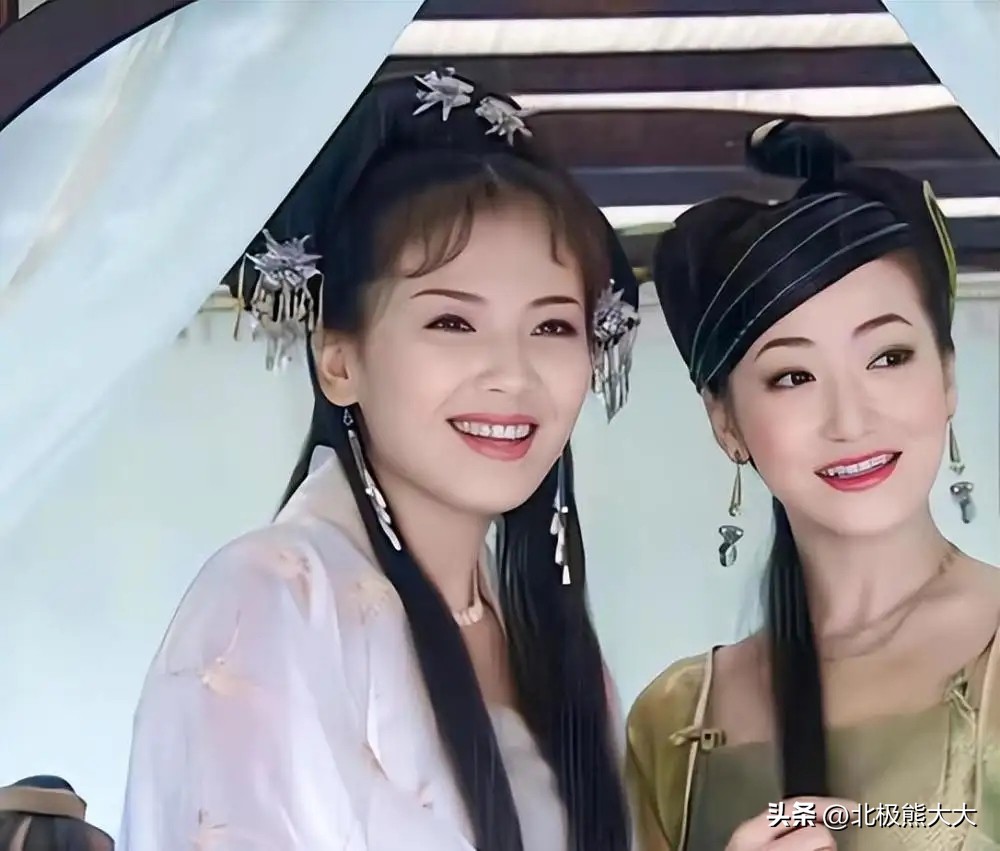 从贤妻到女强人刘涛都经历了什么,贤妻刘涛真实身份