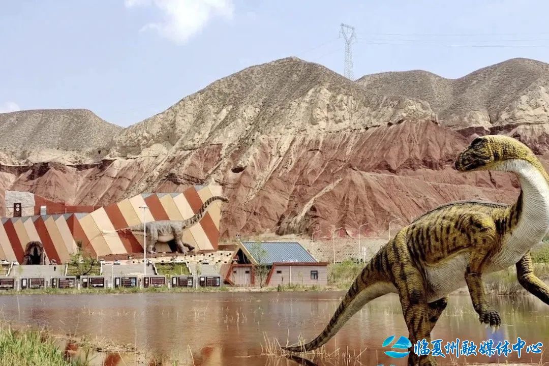 2024骞村宸磋兒閰嶈壊,缁胯壊鐨勫宸磋兒閰嶈壊