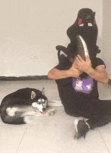 走路走累了坐下歇歇,走路累了继续走就不累了