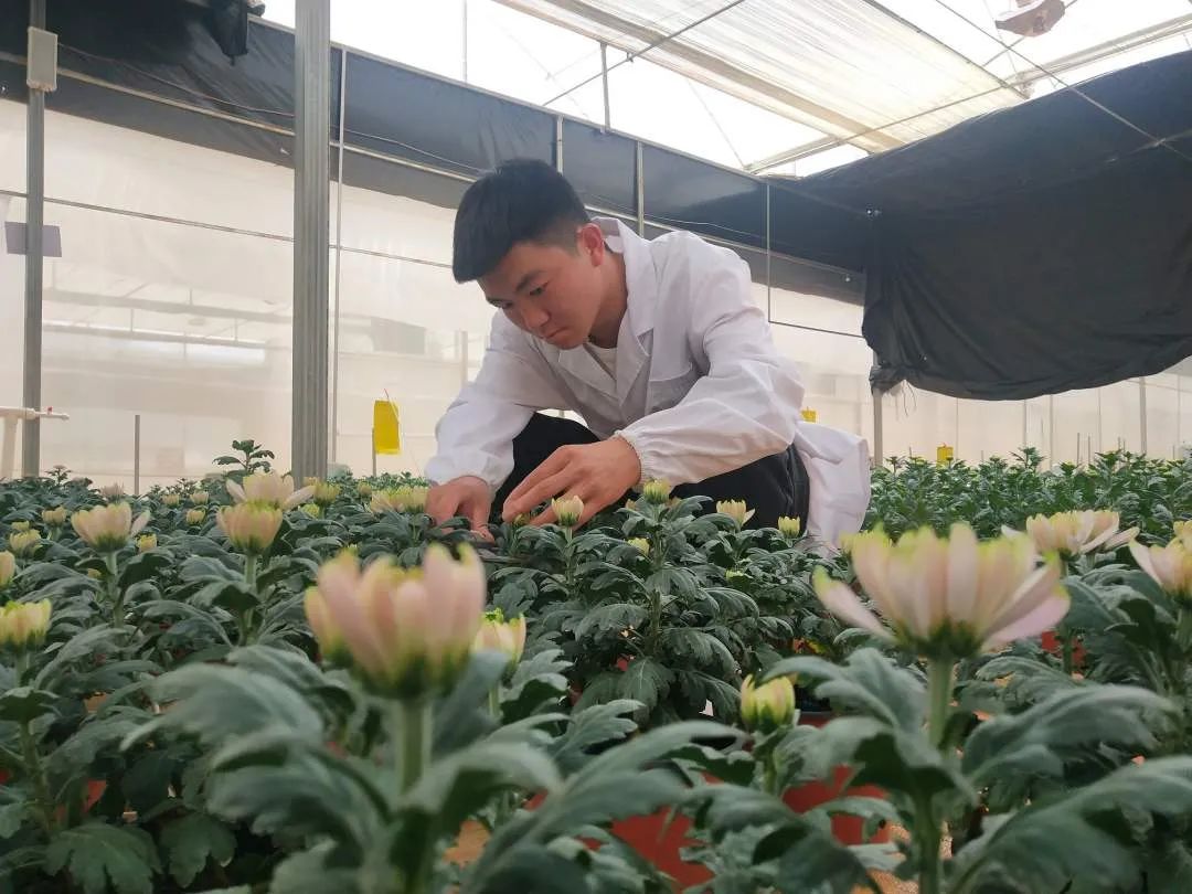 开远市经济发展,开远经济现状如何