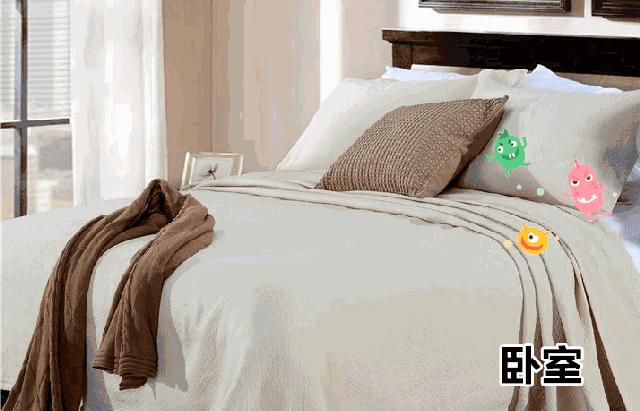 床上“螨虫成堆”？教你个土法子，家中放些它，螨虫“都跑光了”