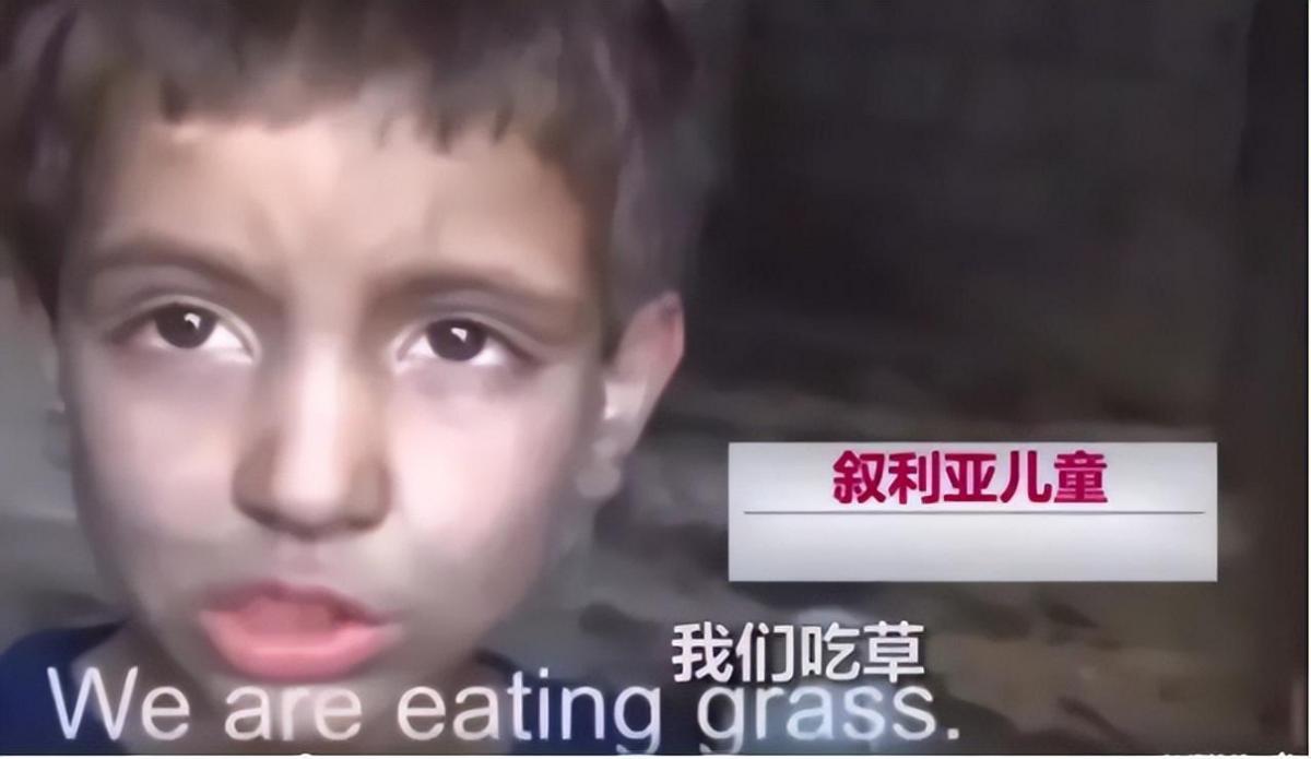 叙利亚姑娘哭声,叙利亚的哭声讲了什么