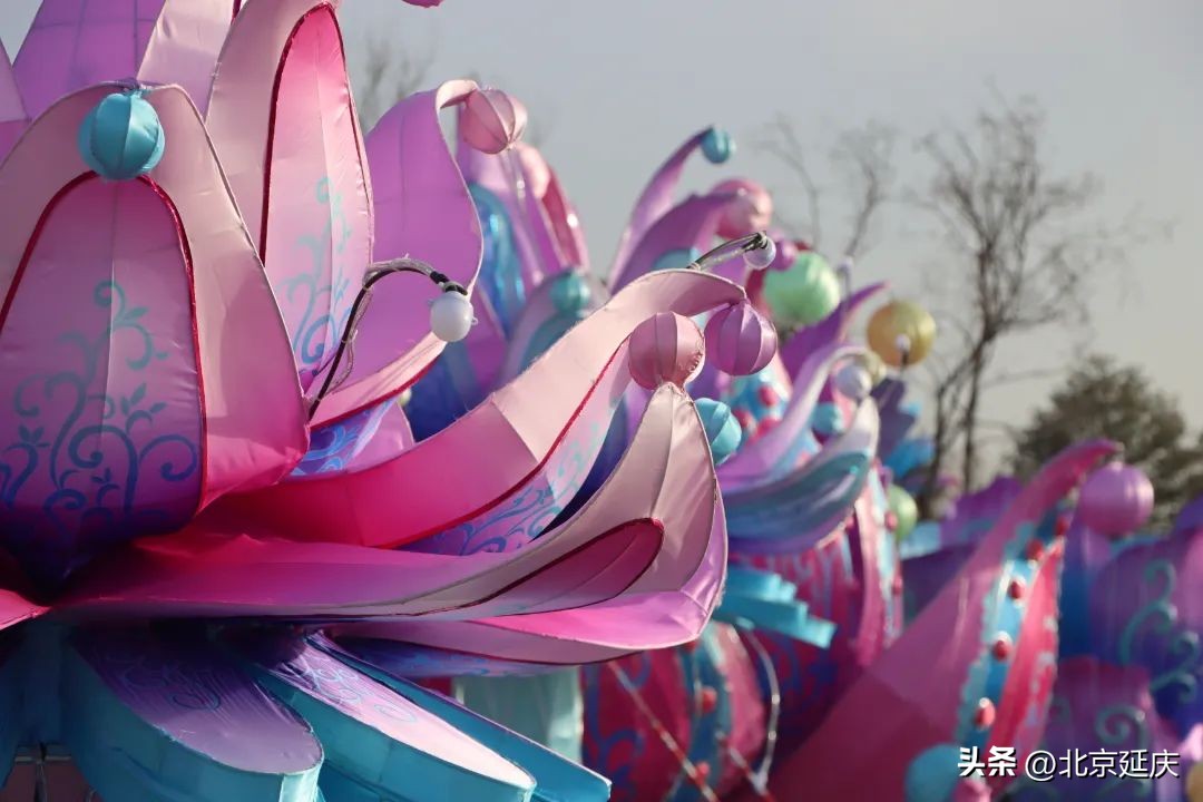 北京延庆世园公园新春闹花灯,北京世园公园花灯将点亮