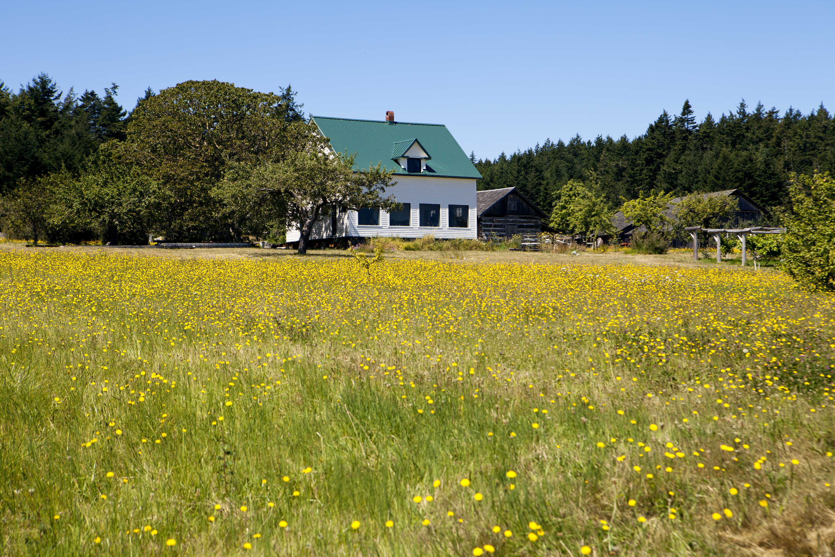 售电公司为什么比电网便宜,售电行业发展前景怎么样