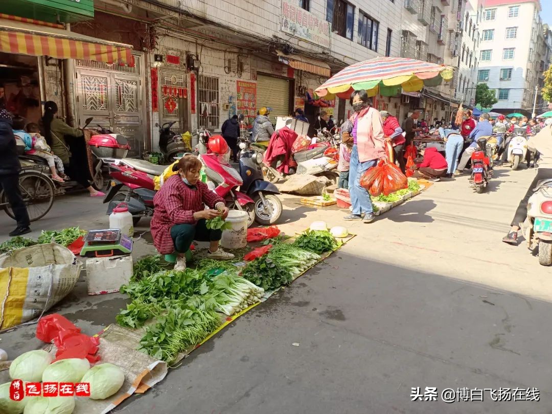 博白南城市场藏龙卧虎，摆摊卖肉小老板富甲流油