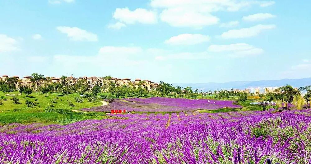 曲靖市各区县为什么发展如此均衡,曲靖市旅游资源有哪些优势