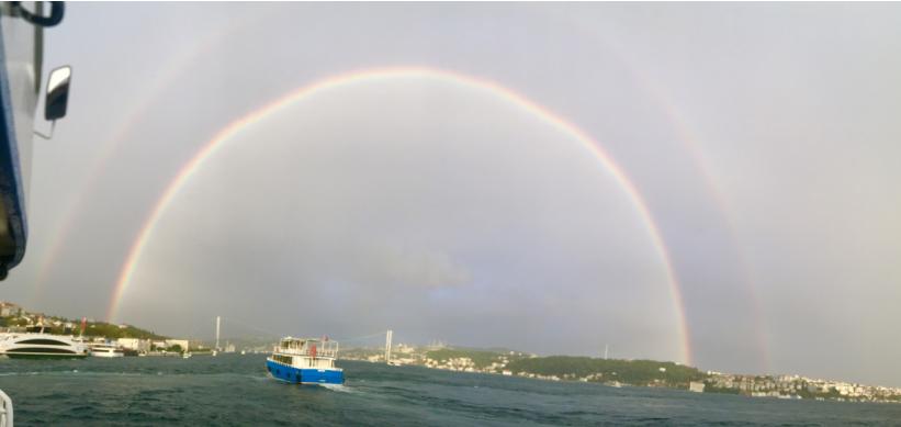土耳其帅哥全部视频,土耳其的帅哥排行榜