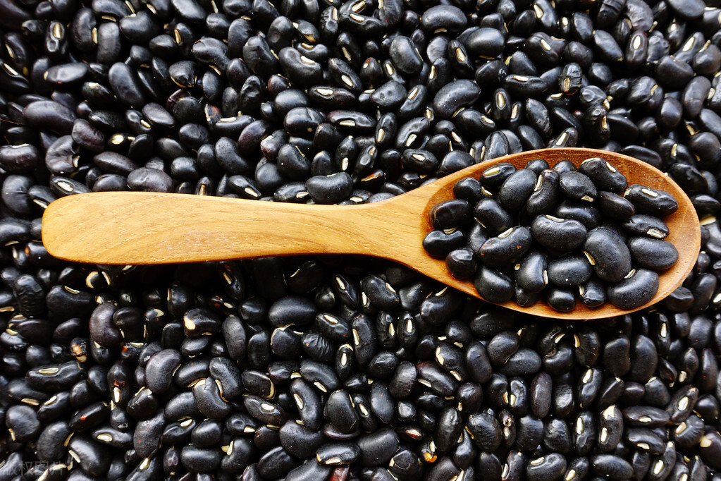 哪些食物是补肾的最好的食材,滋阴补肾的十大食物排行榜