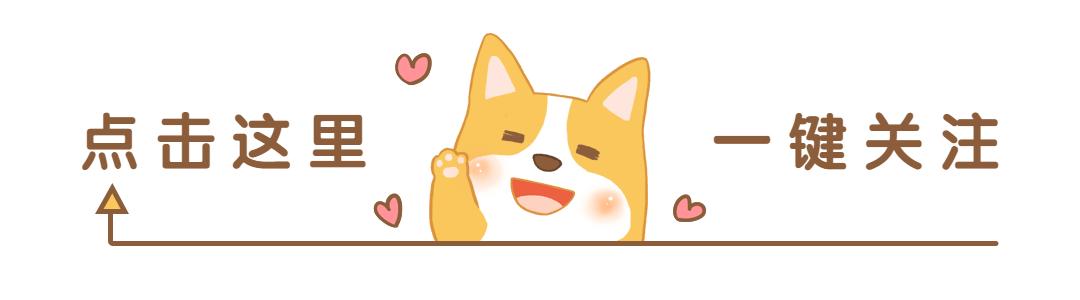 养狗多年才知道狗狗跟你玩,养狗的整天被狗舔有危险吗