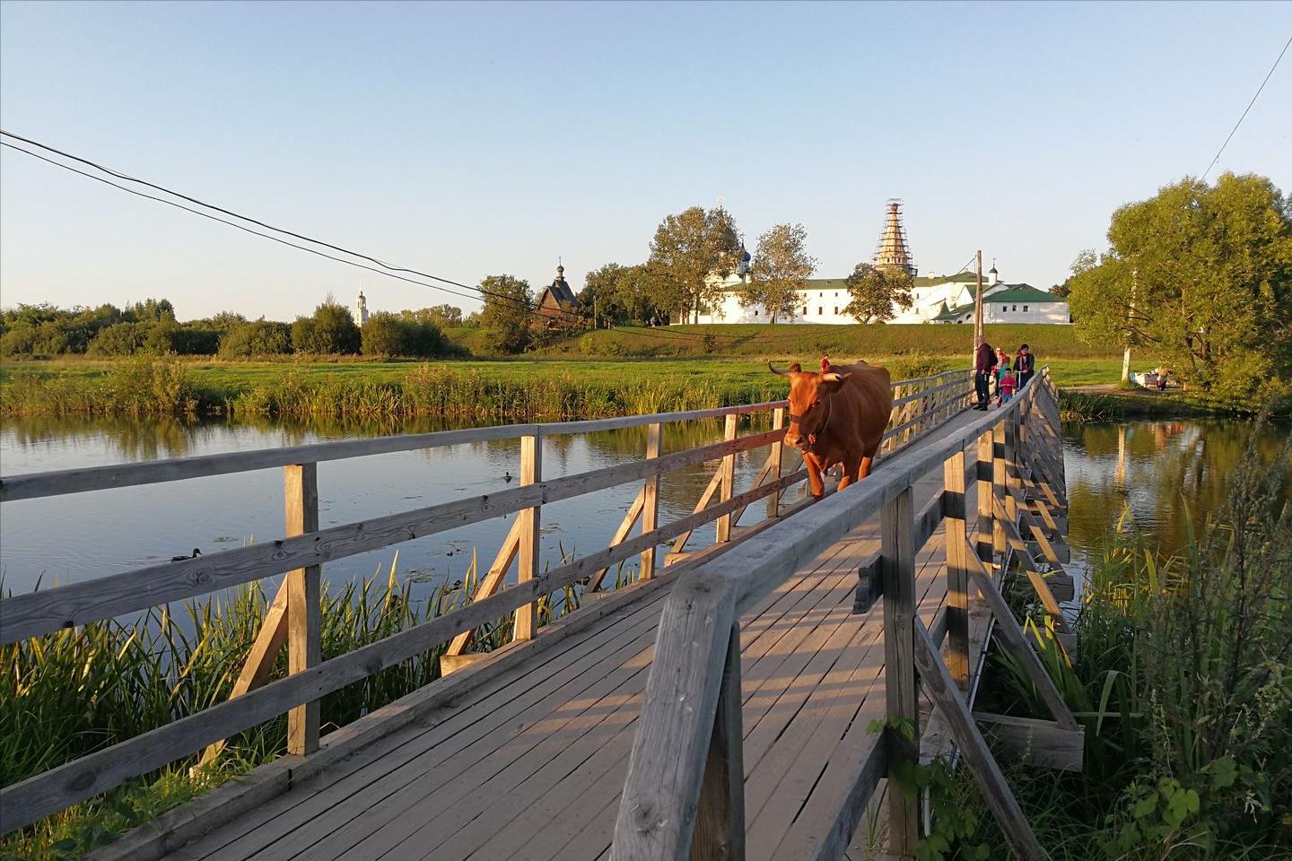 32张照片看真实的俄罗斯,50张照片带你见识日本