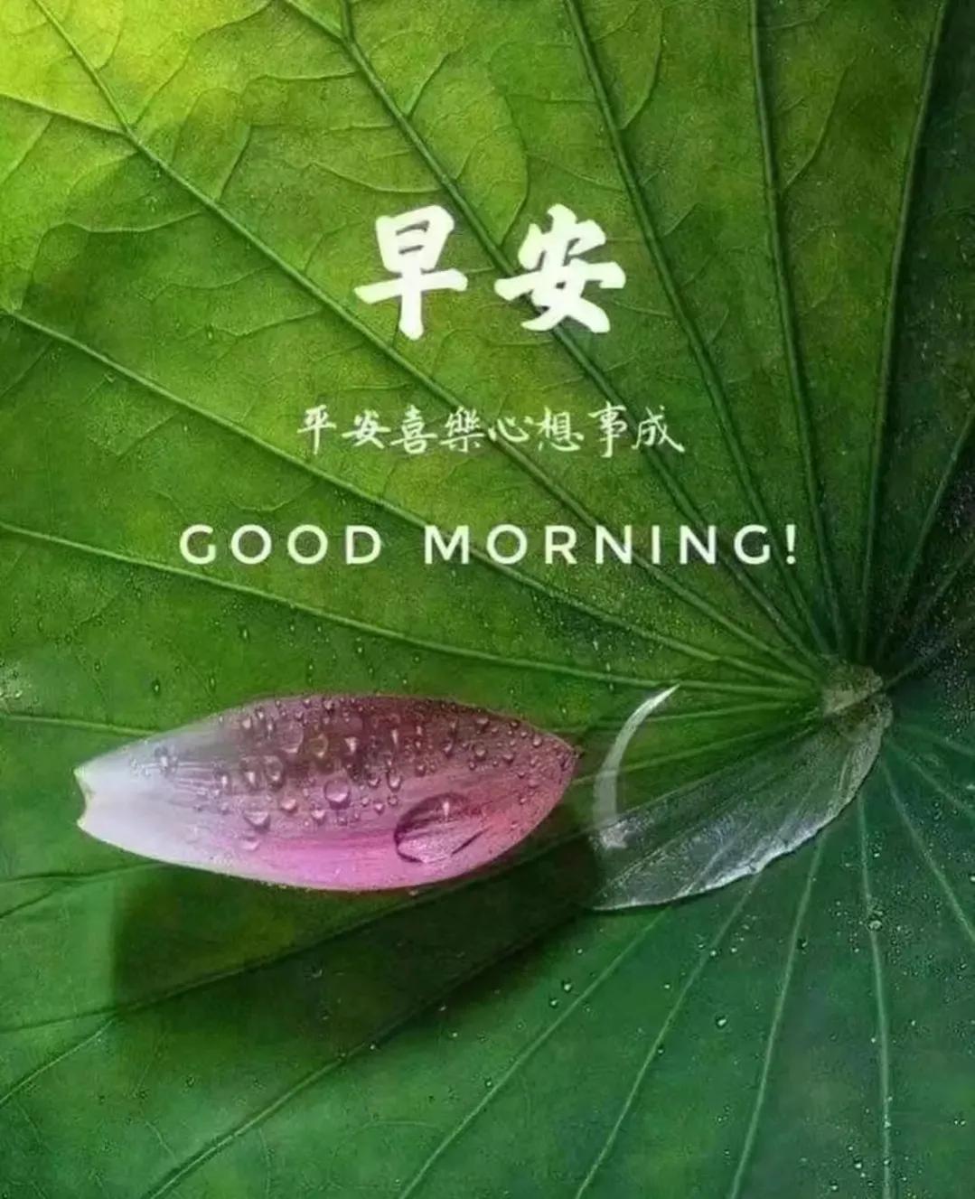 6月5日周一早安快乐！新的一天健康平安幸福安康图文