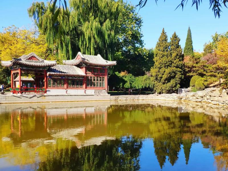 瀛ょ嫭缁忔祹娣卞害瑙ｆ瀽,瀛ょ嫭缁忔祹娴疆瑙嗛