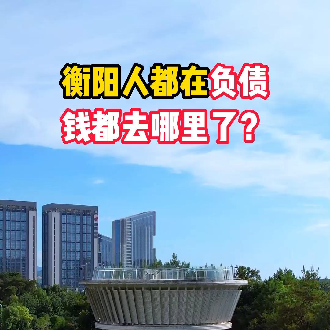 开发商负债老百姓负债钱去哪了,负债那么多钱到哪里去了