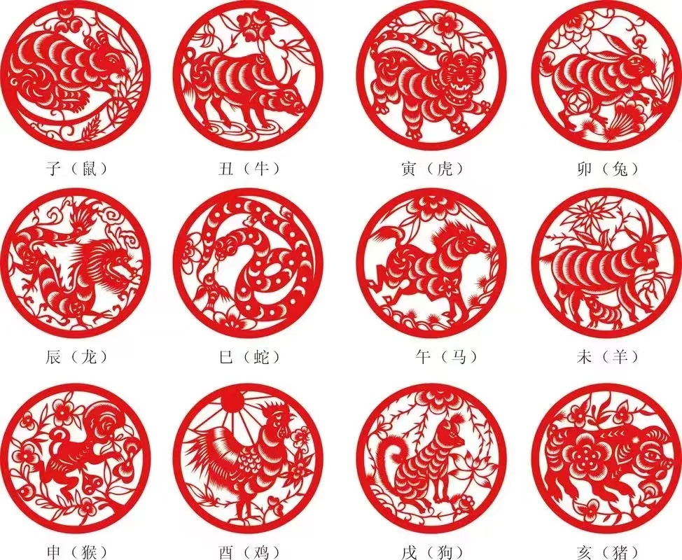 公考常识知多少十二生肖是指,十二生肖知多少这些知识你了解吗