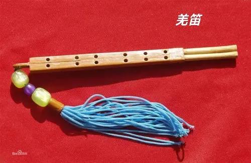 羌笛何须怨杨柳的羌笛的意思,羌笛何须怨杨柳的羌笛是什么