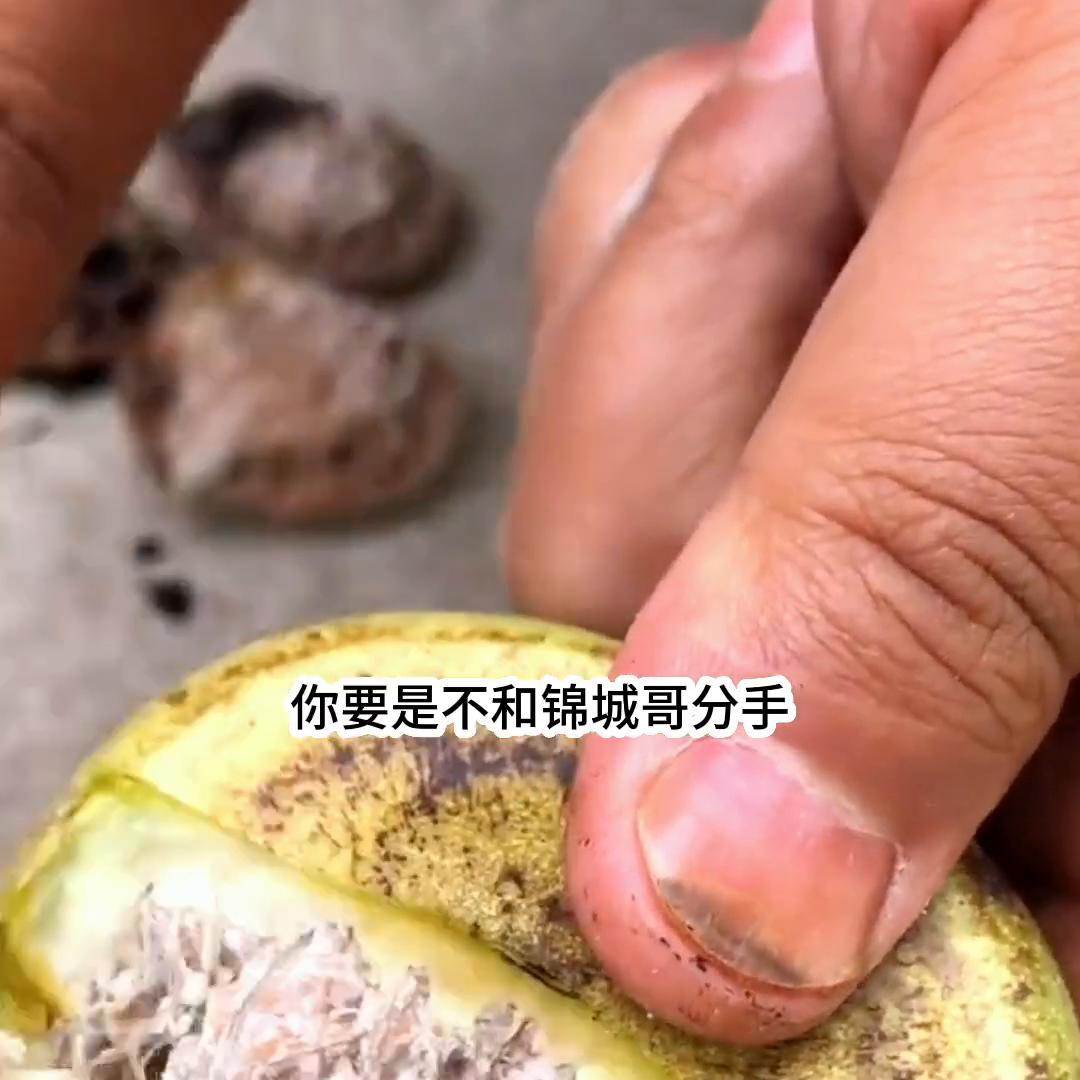 文荒推文一口气看完,文荒推文甜文