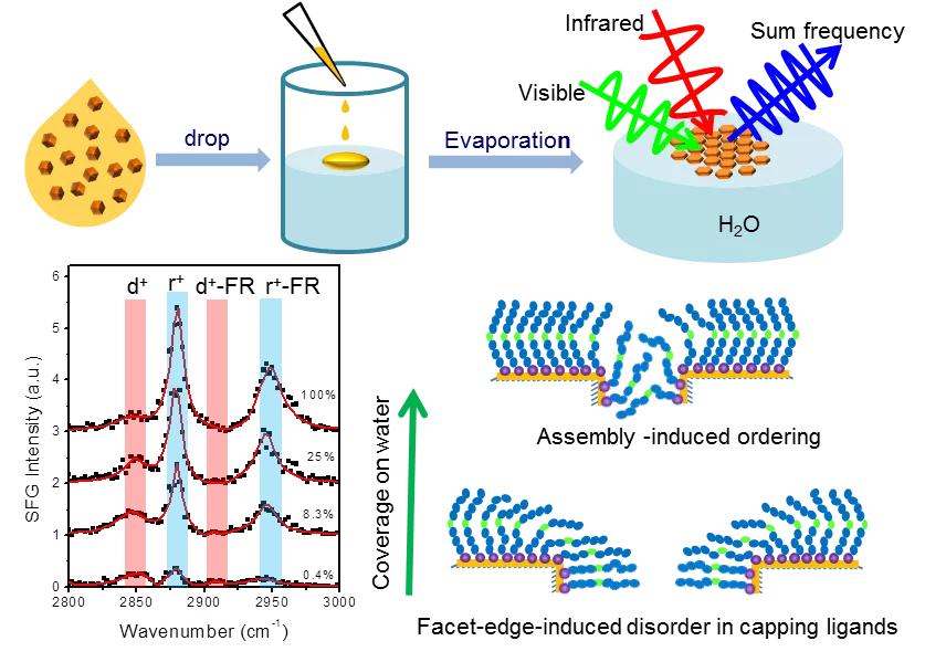 中科院苏州纳米所年会,中科院苏州纳米所通过预验收图片