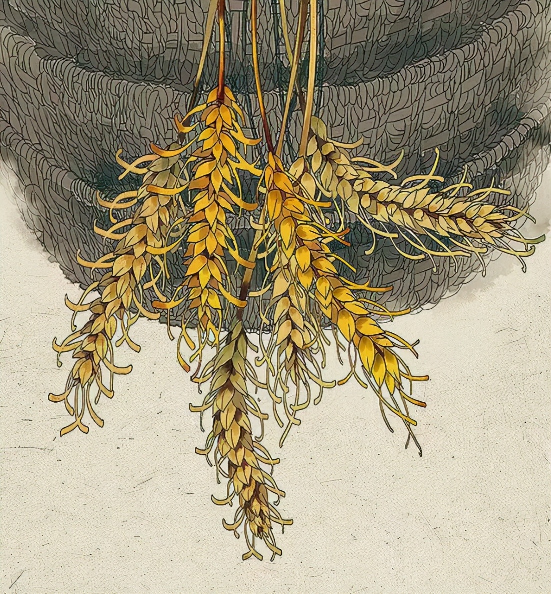 最美二十四节气诗词图,关于夏季节气的诗以及画