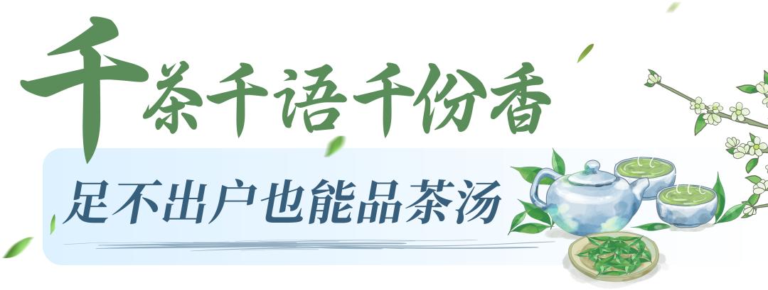 “慢饮”茶搭上直播“快车”，订单↑销量↑收入↑！