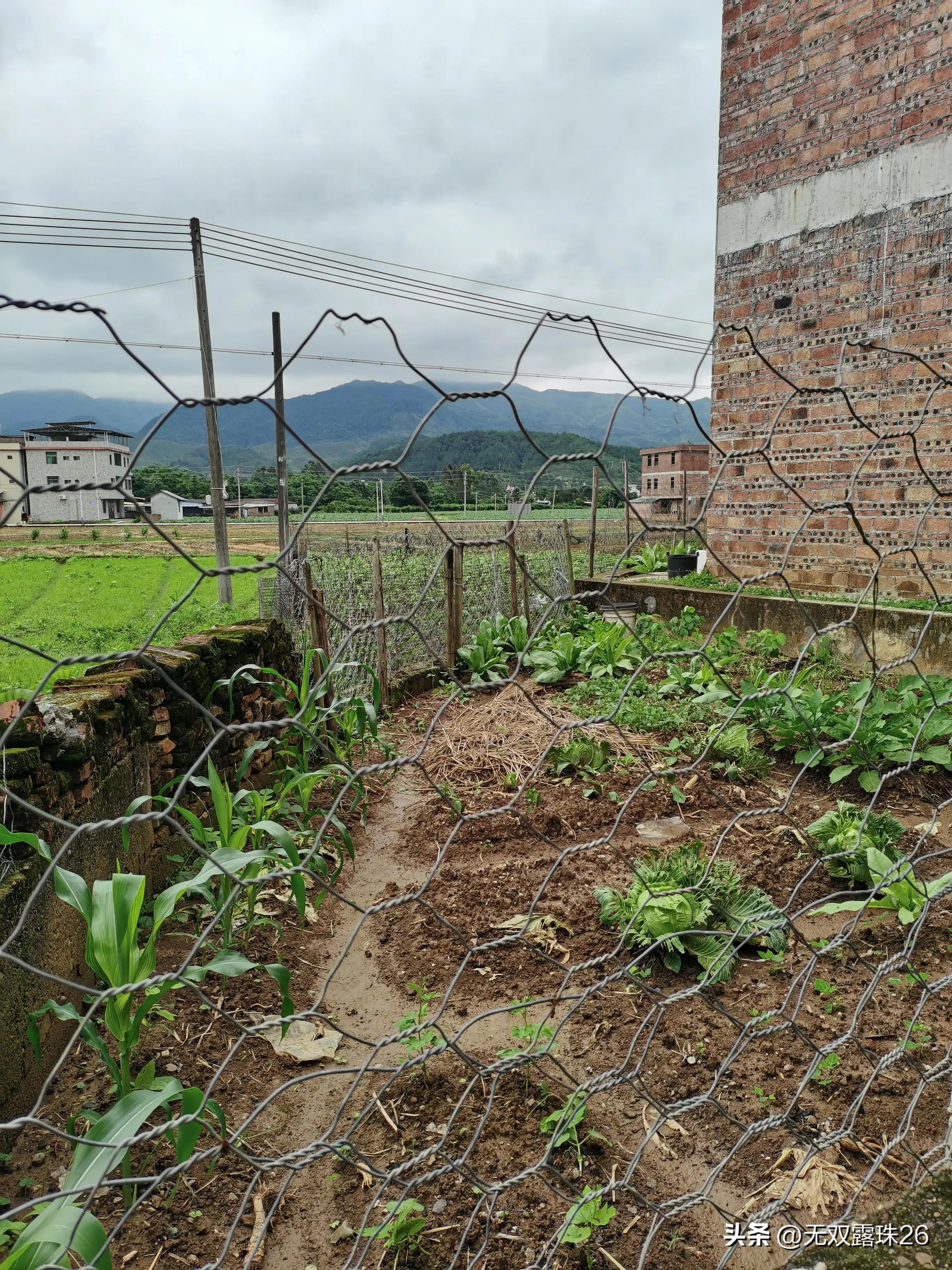 老人驾鹤西去一路走好,驾鹤西去一路走好图片