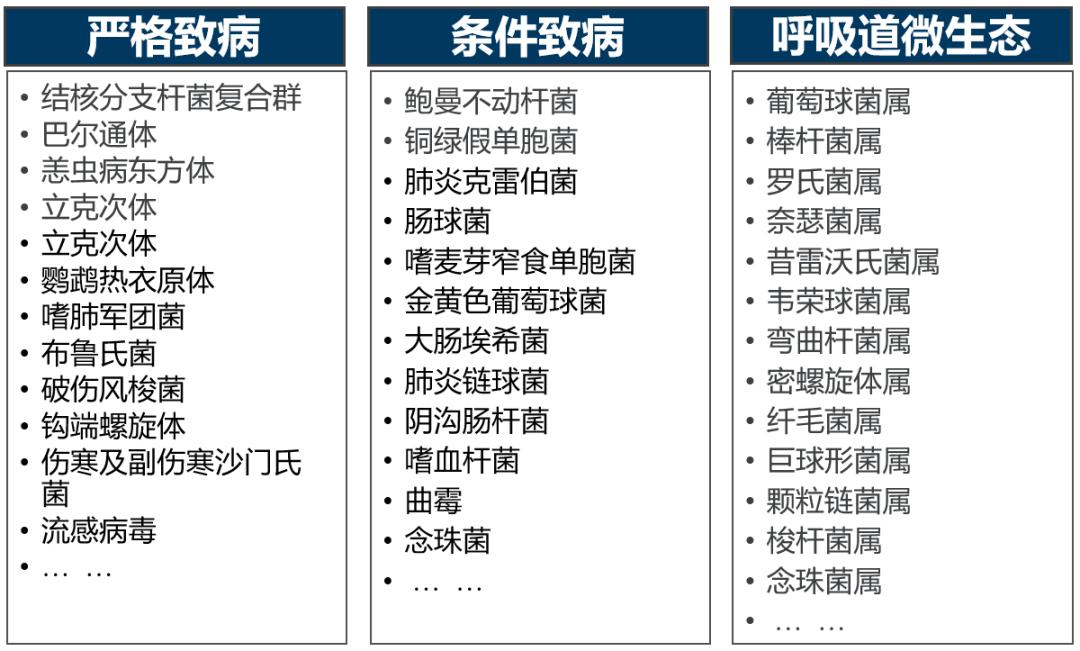 如何解读mNGS阴性结果？何时可能出现假阴性？真阴性又是为何？