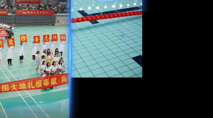 南京理工大学哪个专业最好,南京理工大学特色专业排名