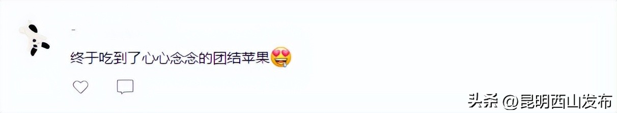 “百味西山”引发网友热议，团结、碧鸡、海口三地美食成焦点