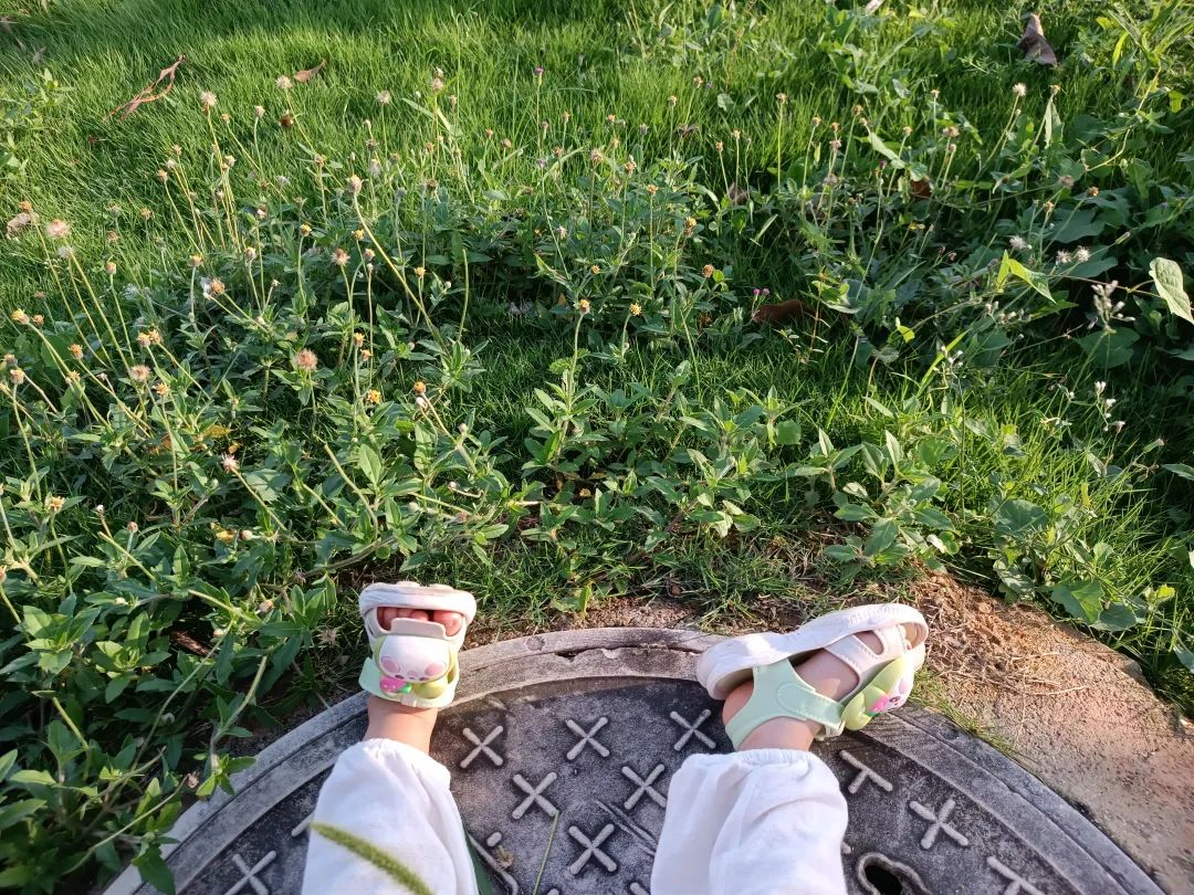 6月总结|安住在自己的生活里