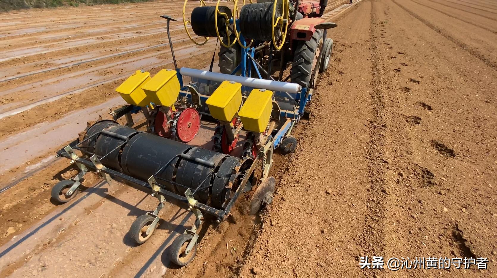 最美职工化身谷子田里“新农人”--公司超千亩连片基地春播掠影