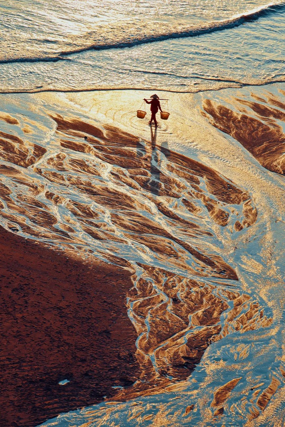 鲜味是个什么味道,鲜味到底是什么东西