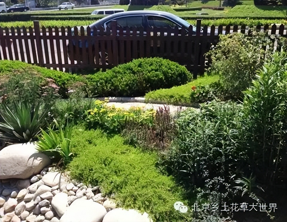 缁挎櫘鏂瑰渾鑺卞崏绉戞妧鏈夐檺鍏徃,缁挎櫘鏂瑰渾