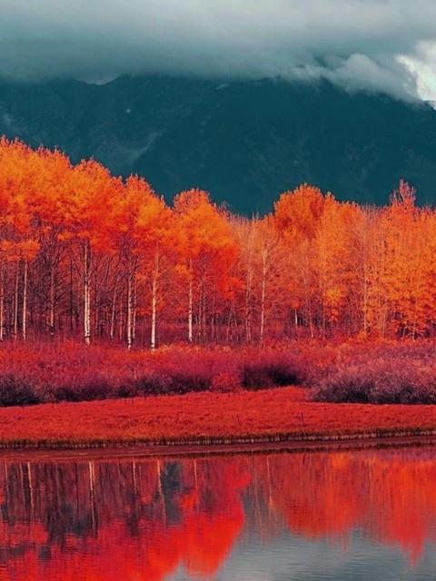 愁是心上秋文案,愁是离人心上秋的下联