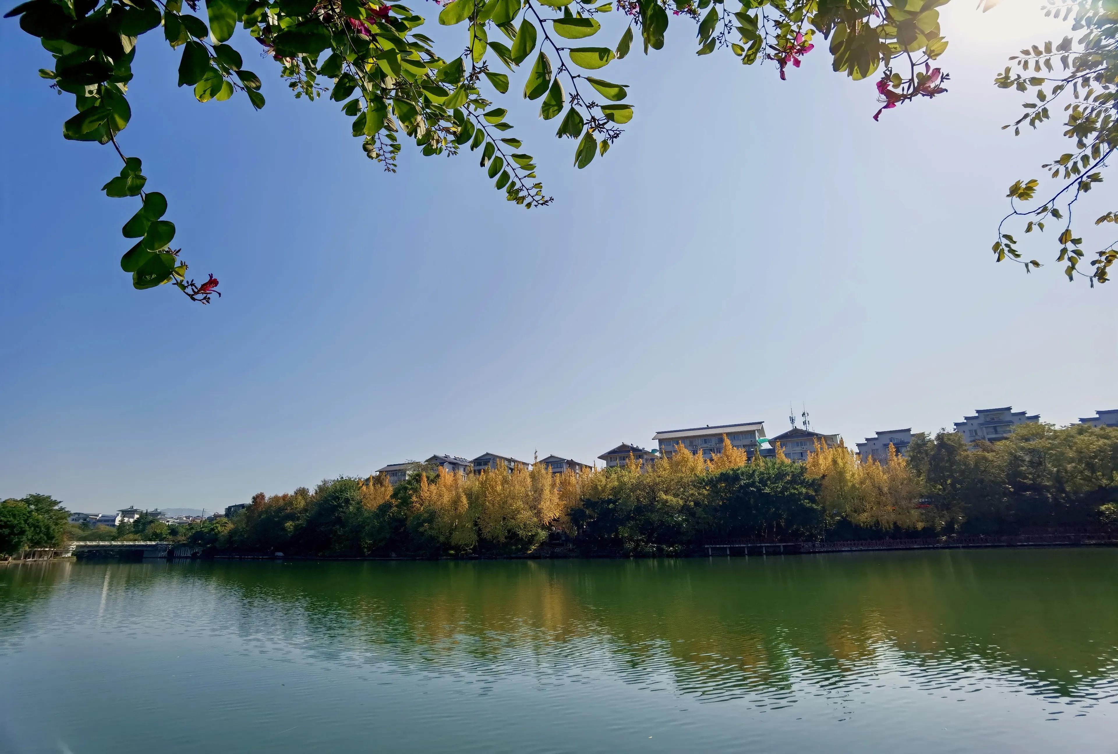 桂林的桂湖在哪里,桂林两江四湖之桂湖