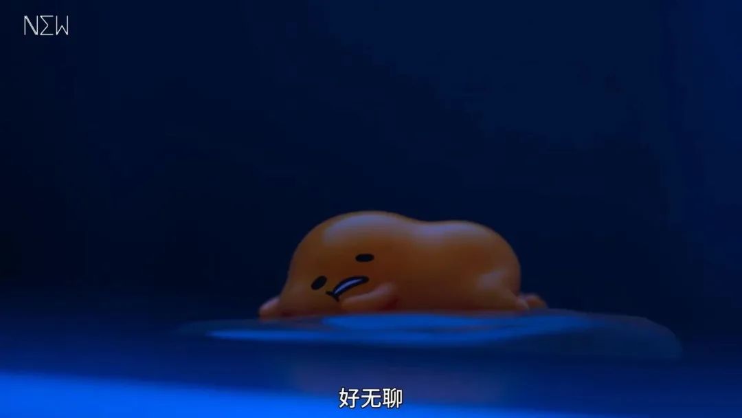 春晚吉祥物兔圆圆为啥是四颗门牙,春晚吉祥物为啥叫兔圆圆