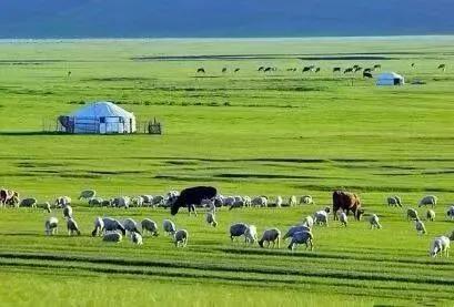 网络购物与现实差距,网络购物与消费者的关系