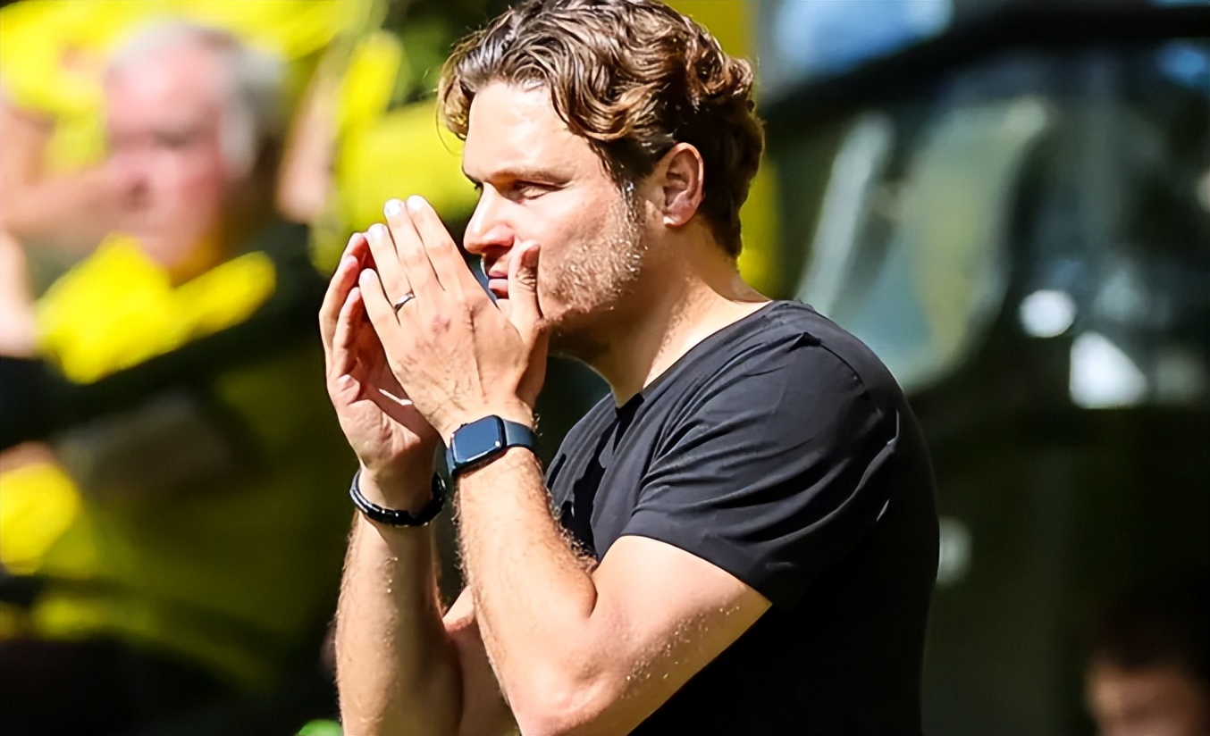 罗伊斯宣布告别欧洲杯,足坛中的悲情英雄罗伊斯