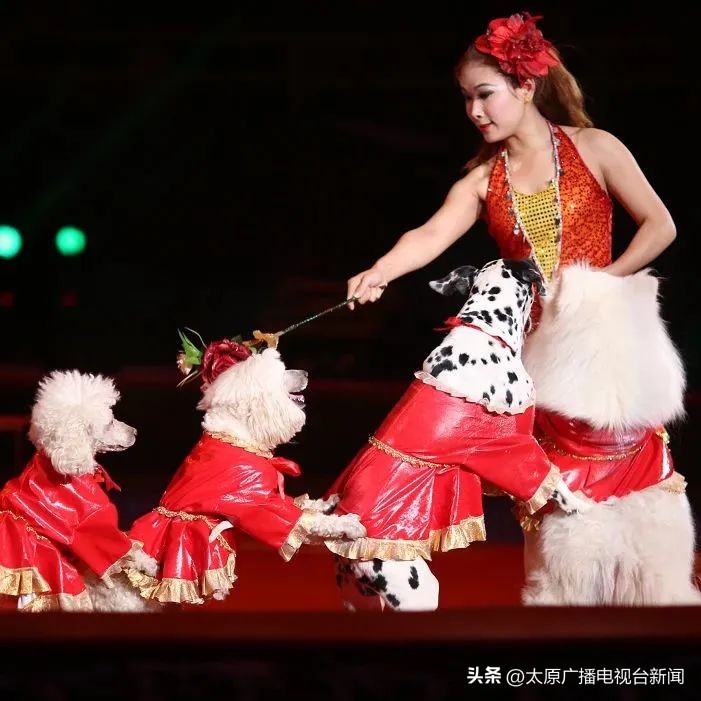 五一宠粉送福利,五一宠粉福利活动继续嗨起来