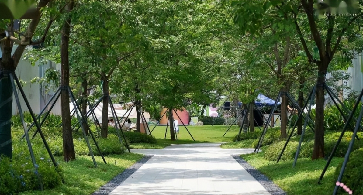 卖猪肉的企业利润能达到多少,卖猪肉的企业有前途吗