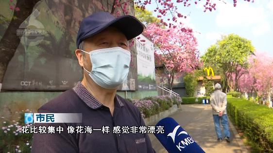 昆明春暖花开解锁春日美景好去处,春暖花开踏青好去处